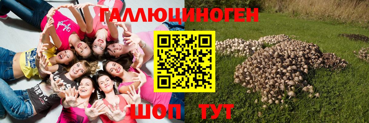 Галлюциногенные грибы мицелий Кимовск